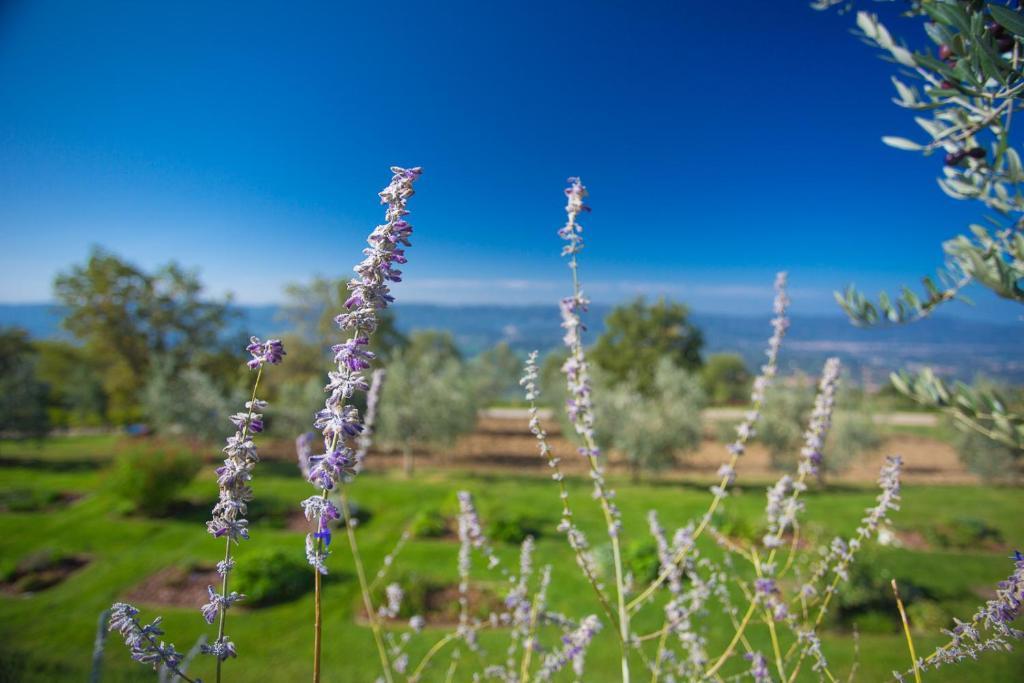 Odina Agriturismo Loro Ciuffenna Zewnętrze zdjęcie
